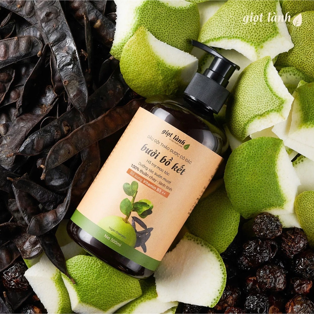 Dầu gội bồ kết-bưởi