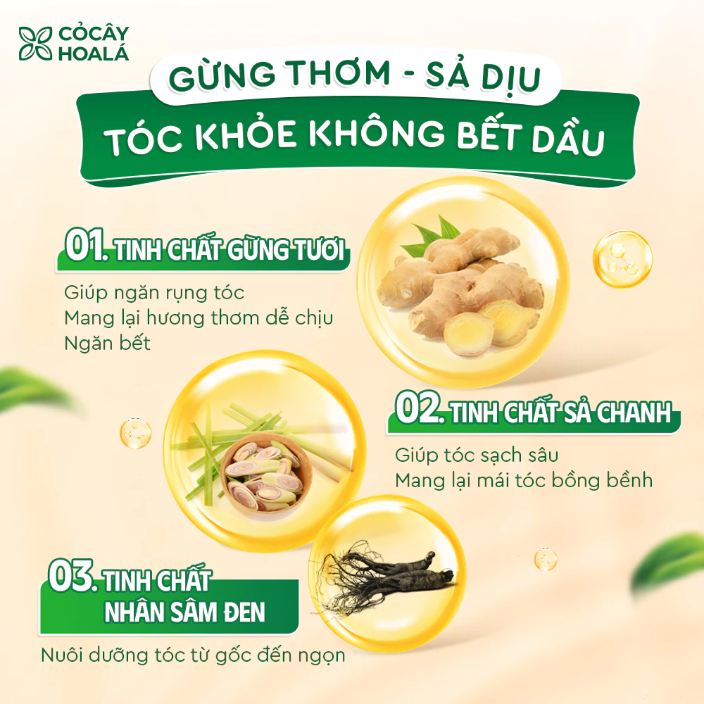 Dầu Gội Thảo Dược Gừng Sả Cỏ Cây Hoa Lá