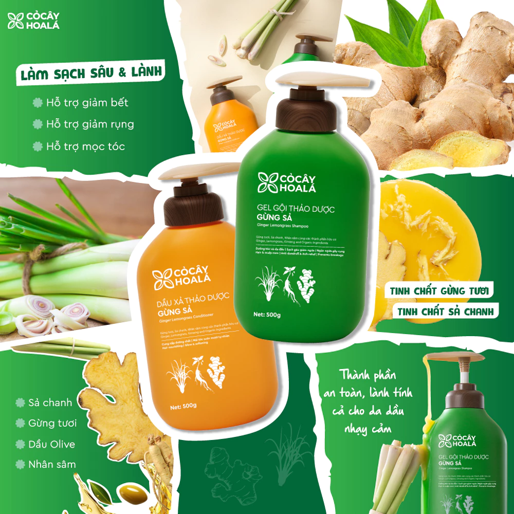 Dầu Gội Thảo Dược Gừng Sả Cỏ Cây Hoa Lá