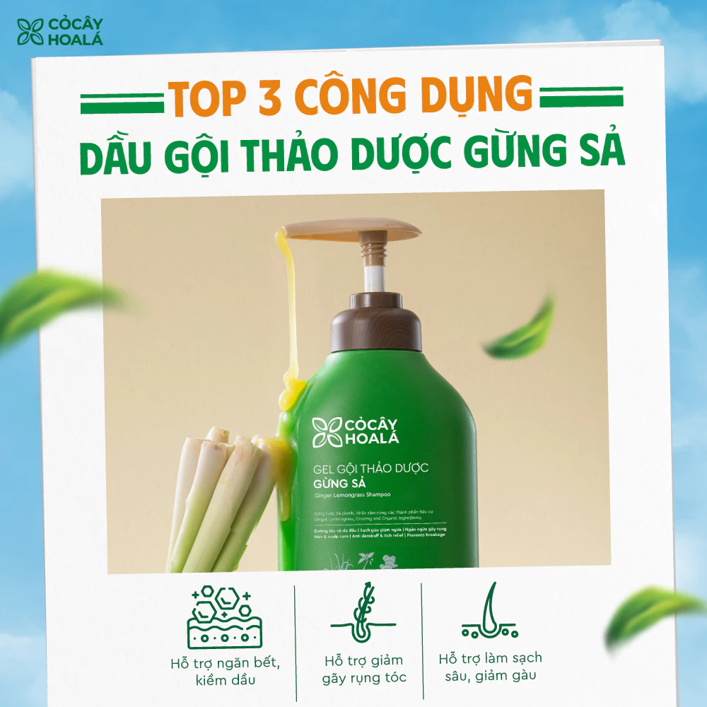 Dầu Gội Thảo Dược Gừng Sả Cỏ Cây Hoa Lá