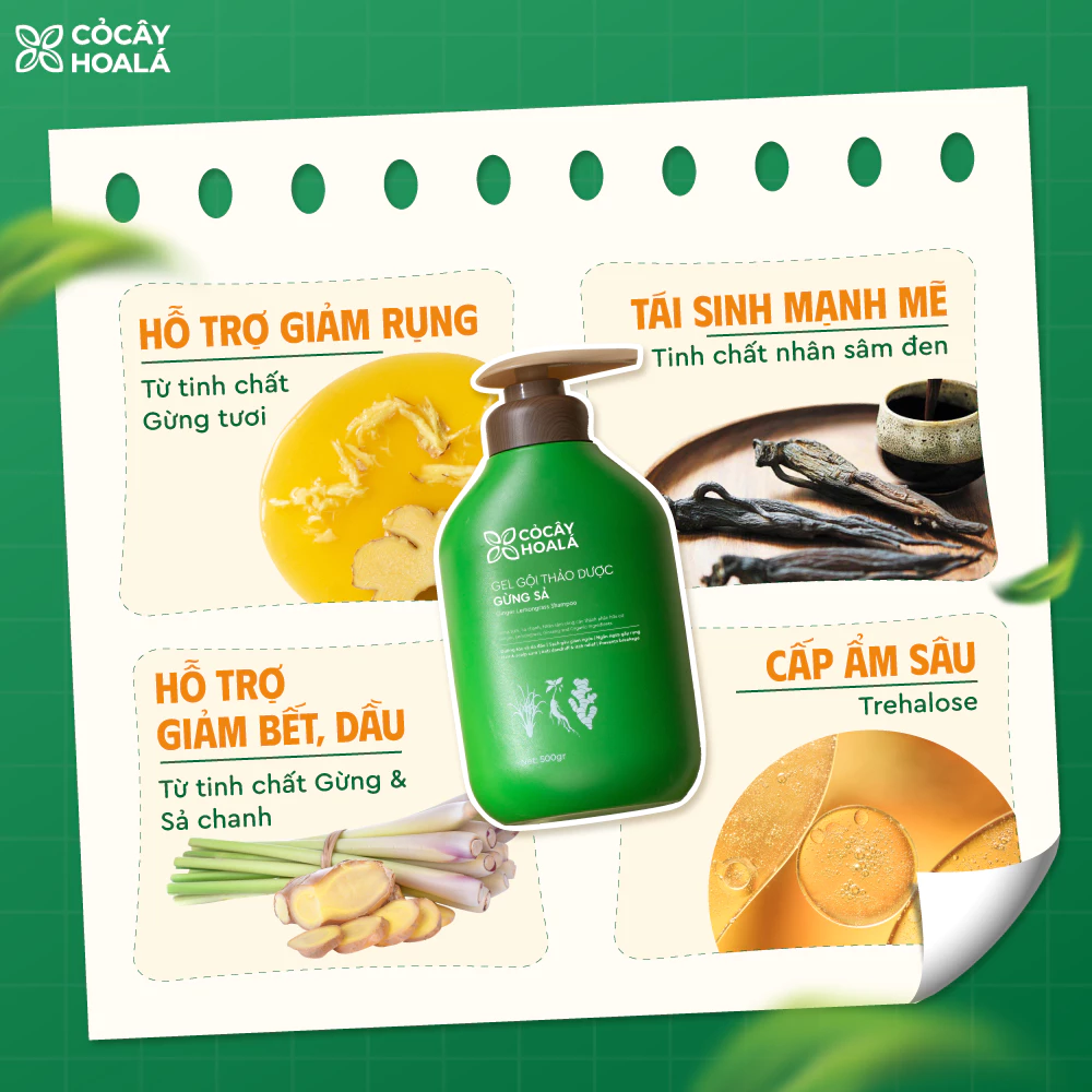 Dầu Gội Thảo Dược Gừng Sả Cỏ Cây Hoa Lá