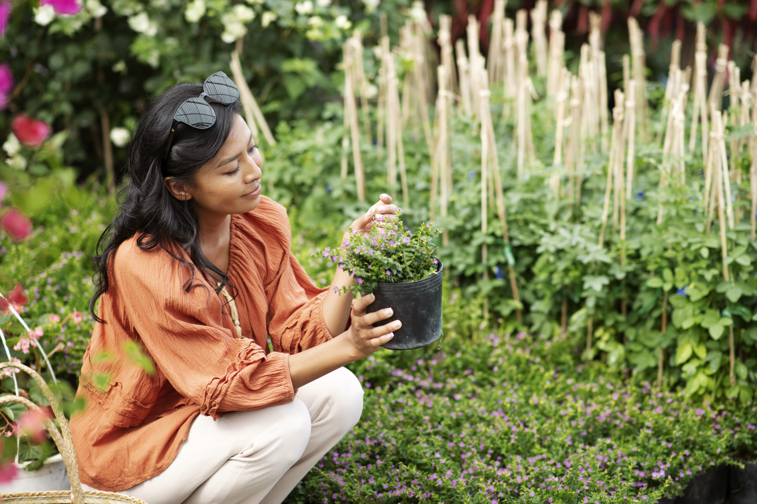 trồng cây trong chậu