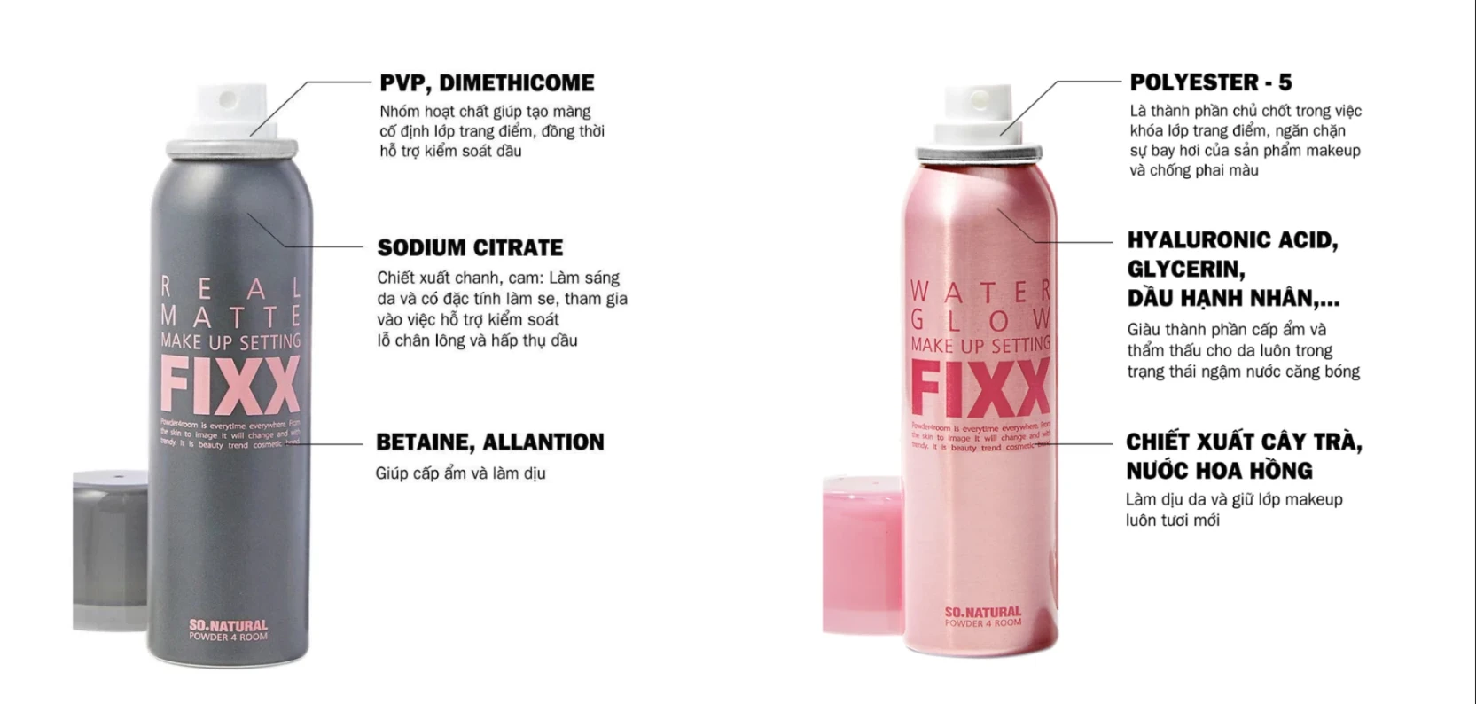 Xịt Khóa nền Fixx